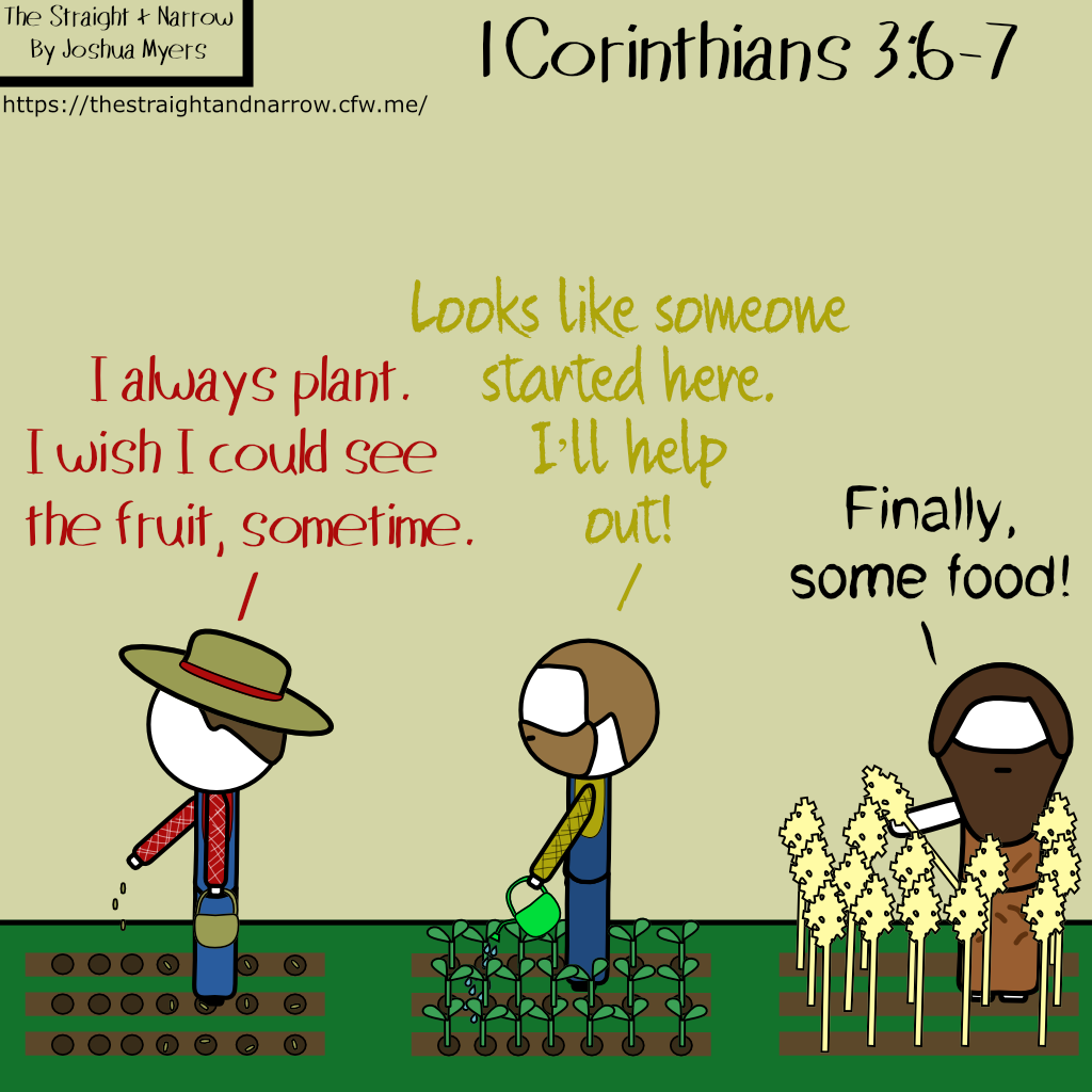 The Straight + Narrow - Planting seeds