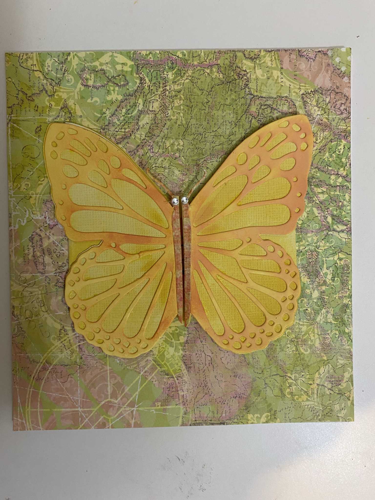 Nicole (nikol’eh) Meyer