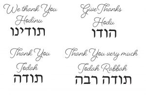 Thanks - Jewish Jewels