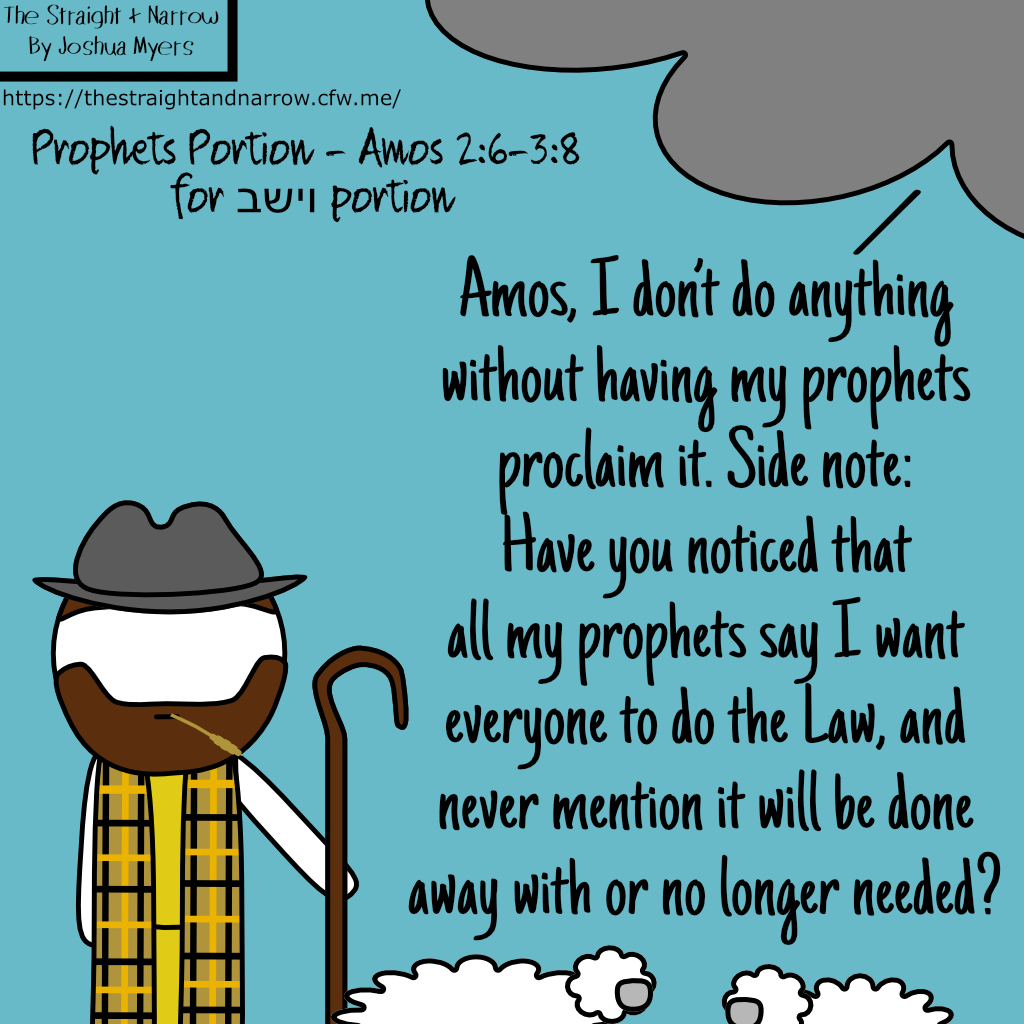 The Straight + Narrow - Prophets Portion - Amose 2:6-3:8