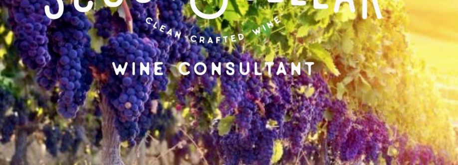 Brittany- S&C Independent Consultant