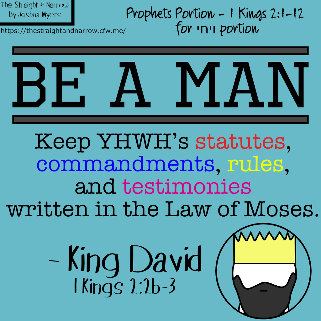 The Straight + Narrow - Prophets Portion - 1 Kings 2:1-12