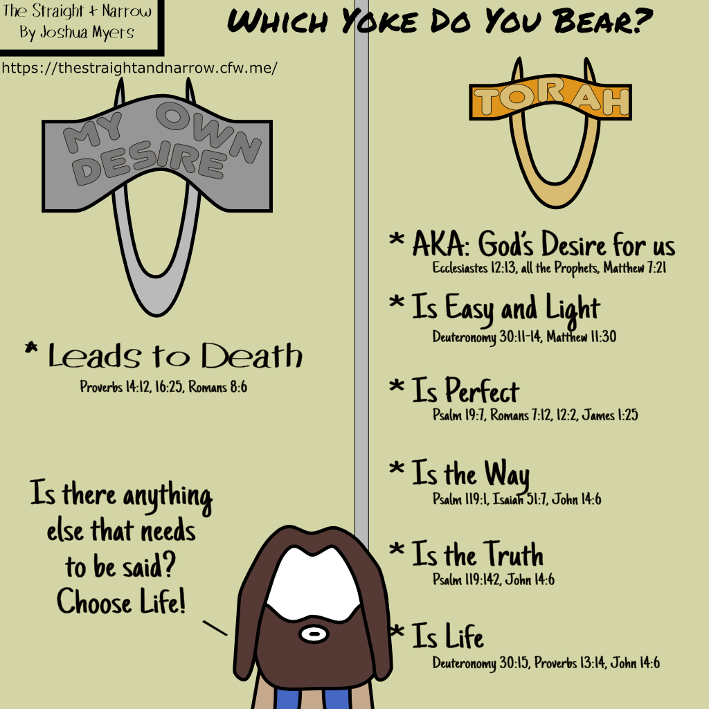 The Straight + Narrow - Which Yoke Do You Bear?