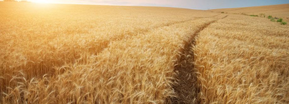 First Fruits Ministries