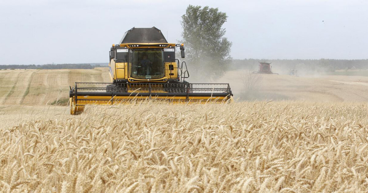 Analyst Warns World Has Just ‘Ten Weeks’ of Wheat Supplies Left in Storage