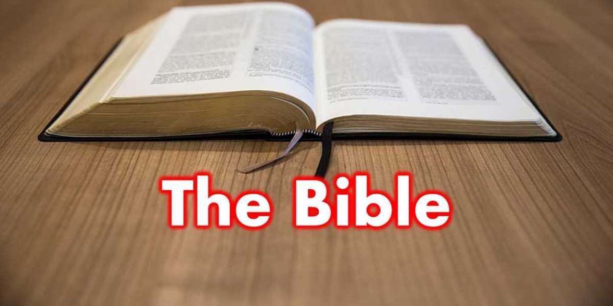 What We Teach about the Bible