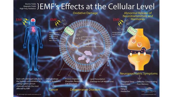 Putting On The Armor Of God & Solutions for 5g & EMF Radiation Effects - iConnectFX™