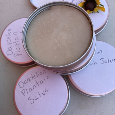 Dandelion Plantain Salve Profile Picture