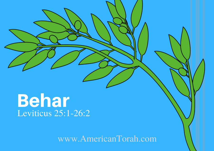 Parsha Behar – Apostolic Readings, Links, and Videos - American Torah