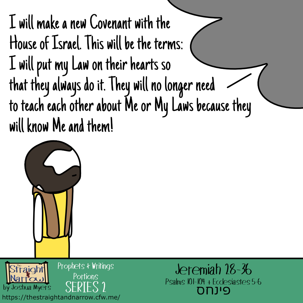 The Straight + Narrow - P + W Portions Series 2: פינחס (Phinehas)