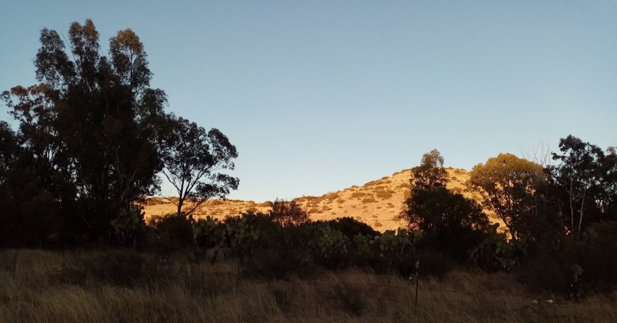 Newsletter - Come Lord Jesus  - July 2024