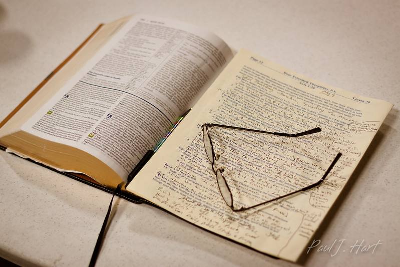 Weekly Bible Reading For October 27-November 2: Noah (Rest) - The Barking Fox