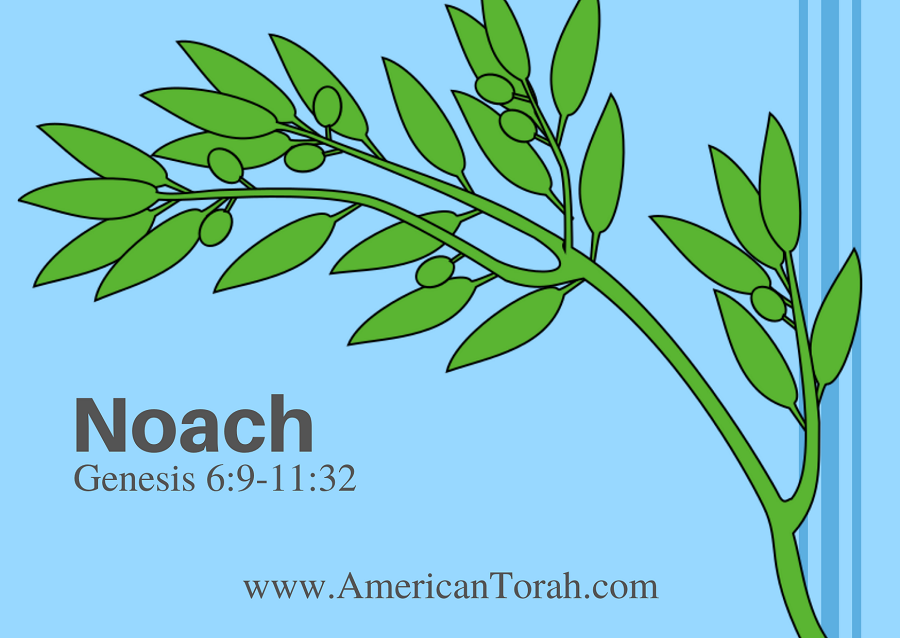Parsha Noach - Apostolic Readings, Commentary, and Videos - American Torah