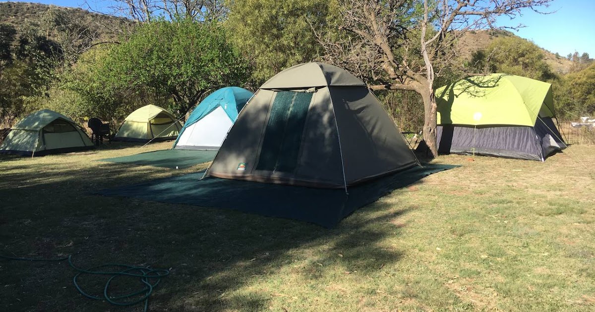 Newsletter - Our Bodies His Temple Yes His Home - November 2024