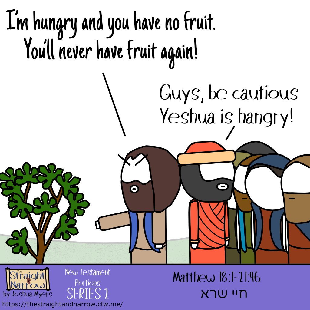 The Straight + Narrow - New Testament Portions Series 2: חיי שרא (Sarah's Life)
