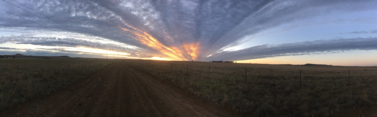 Newsletter - The Light has come - Dec 2024