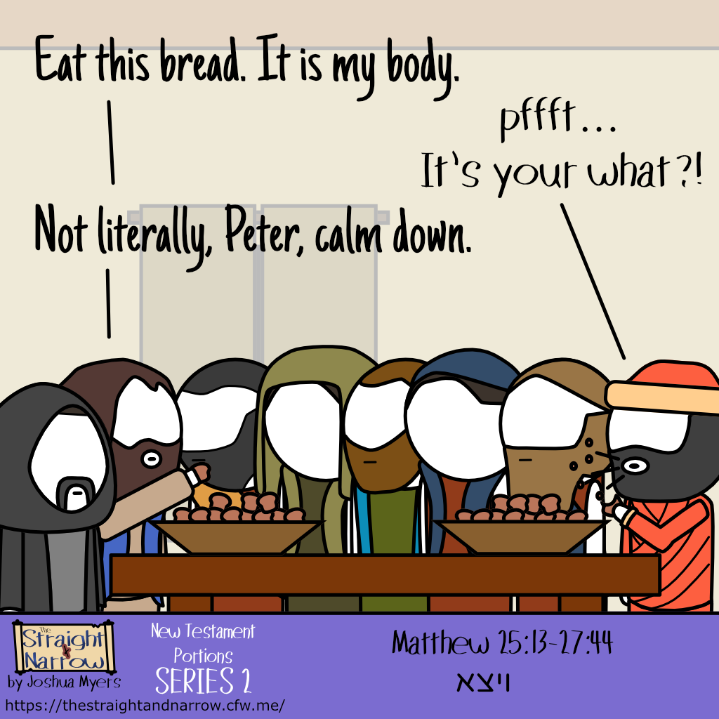 The Straight + Narrow - New Testament Portions Series 2: ויצא (And he went out)