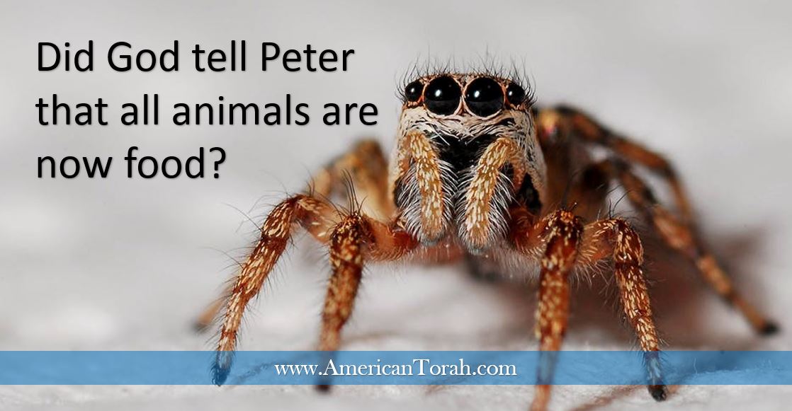 White Sheets, Creepy Crawlies, and Unclean People - American Torah