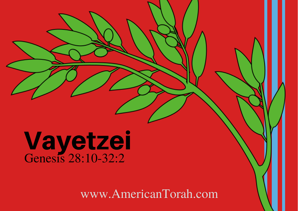 Parsha Vayetzei - Apostolic Readings, Commentary, and Videos - American Torah