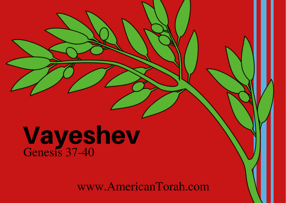 Parsha Vayeshev – Apostolic Readings, Commentary, and Videos - American Torah