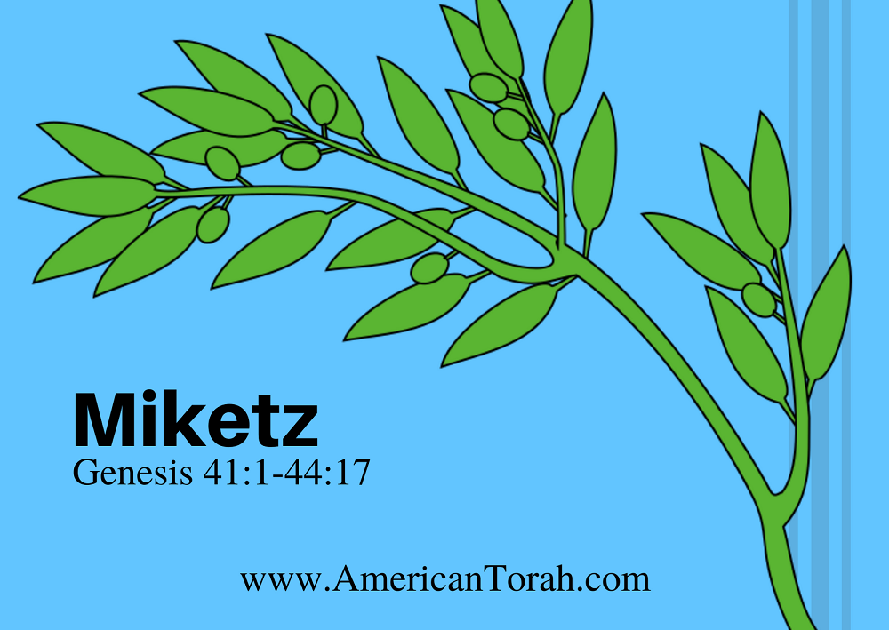Parsha Miketz - Apostolic Readings, Commentary, and Videos - American Torah