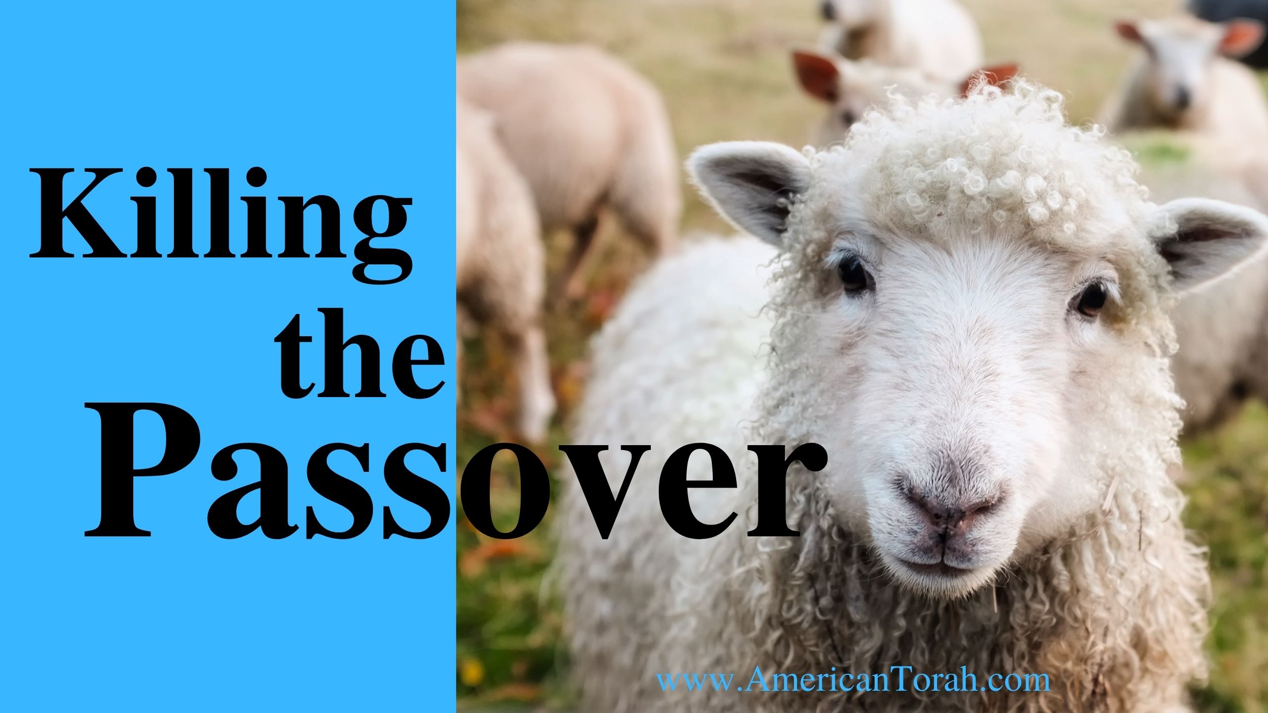 Killing the Passover - American Torah