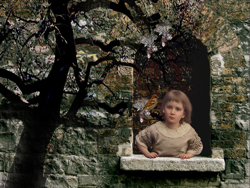 A Window for the Sparrows - The Barking Fox