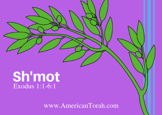 Parsha Shemot - Apostolic Readings, Links, and Videos - American Torah