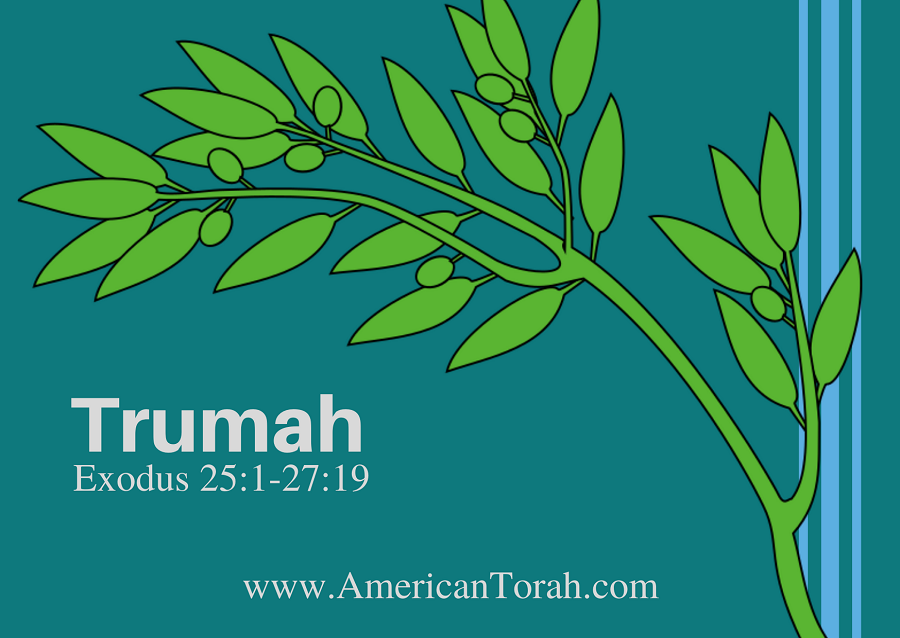 Parsha T'rumah – Apostolic Readings, Links, and Videos - American Torah