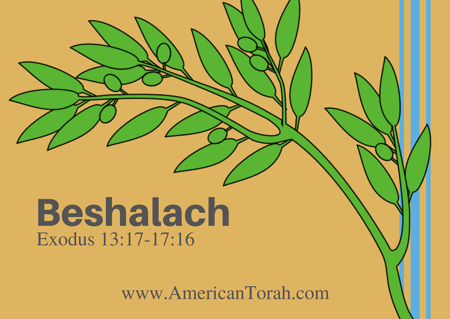 Parsha Beshalach - Apostolic Readings, Links, and Videos - American Torah