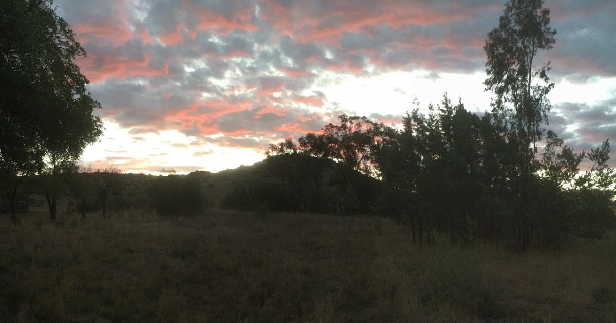 Newsletter - This is the LOVE of God - Feb 2025