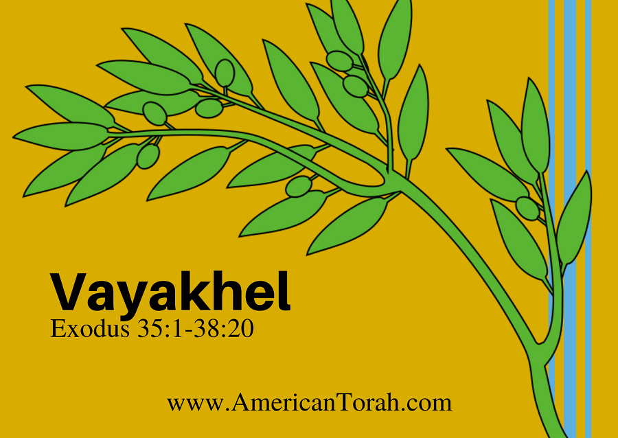 Parsha Vayakhel - Apostolic Readings, Commentary, and Videos - American Torah