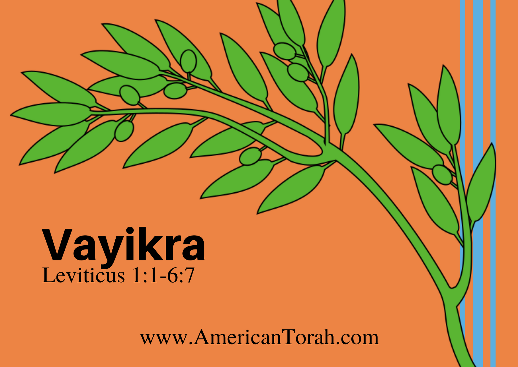 Parsha Vayikra - Apostolic Readings, Commentary, and Videos - American Torah
