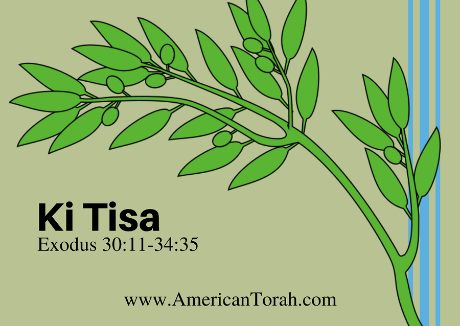Parsha Ki Tisa - Apostolic Readings, Links, and Videos - American Torah