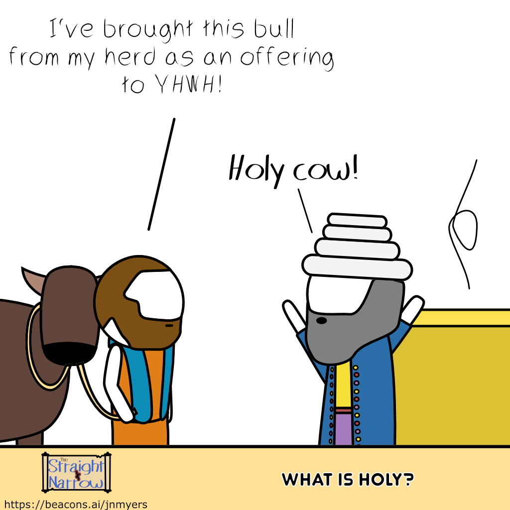 The Straight + Narrow - What is Holy?