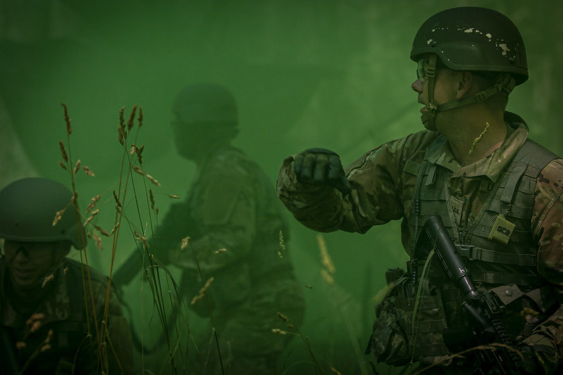 Kingdom Initiative - The Barking Fox