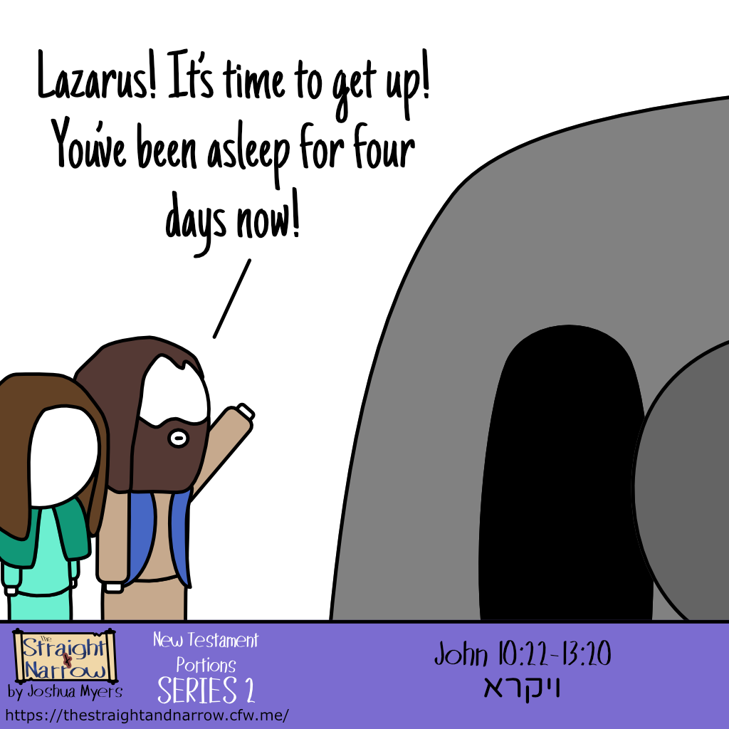 The Straight + Narrow - New Testament Portions Series 2: ויקרא (And he called)