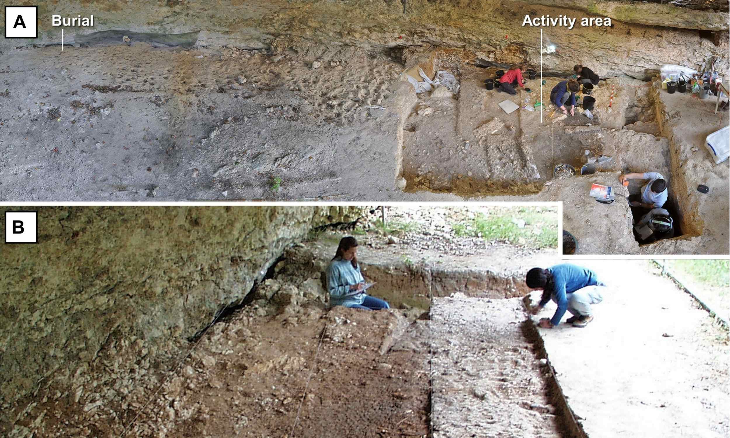 'Hybrid child' confirms interbreeding of humans and Neanderthals - Earth.com