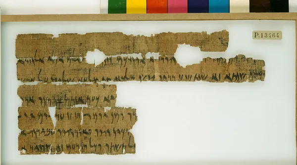 Judah or Israel? - The Kingdom Network