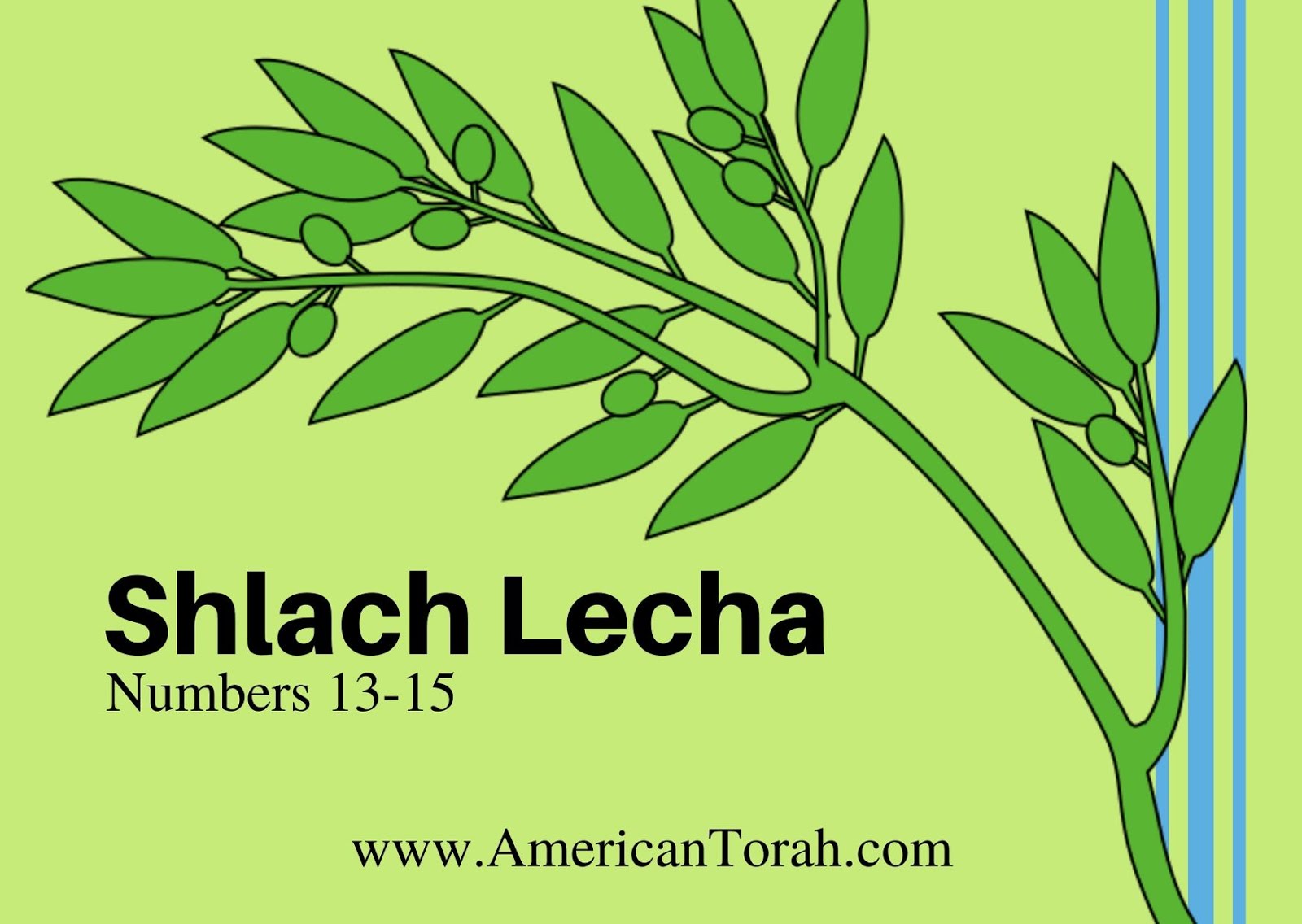 Parsha Shlach Lecha - Apostolic Readings, Links, and Videos - American Torah