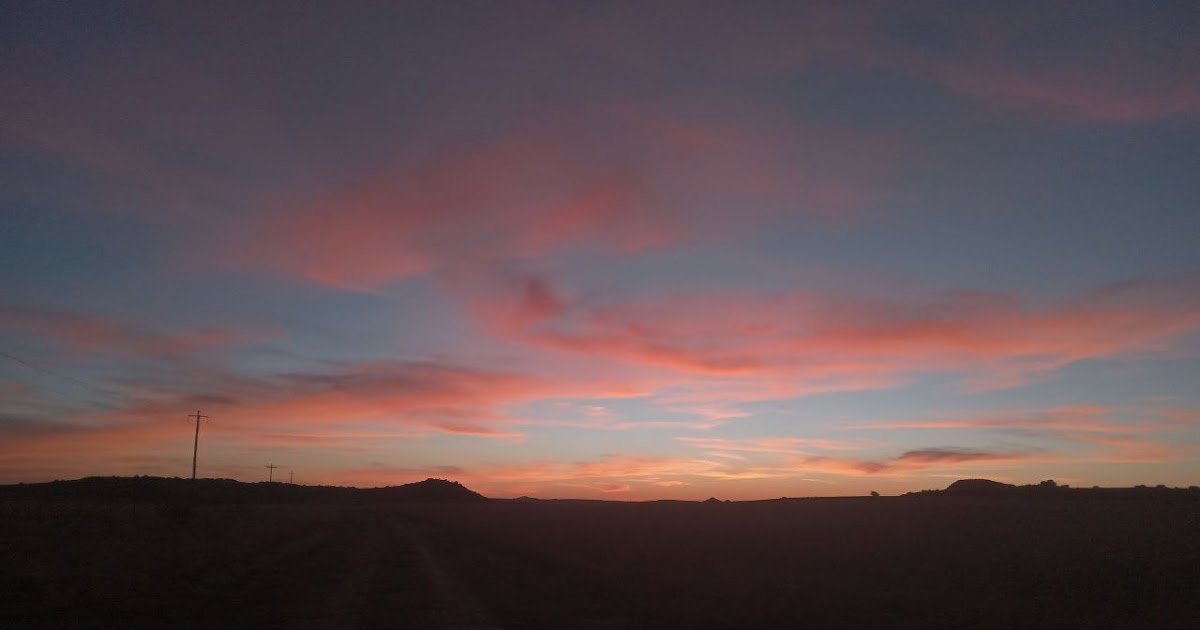 Newsletter - Looking for the appearance - June 2025