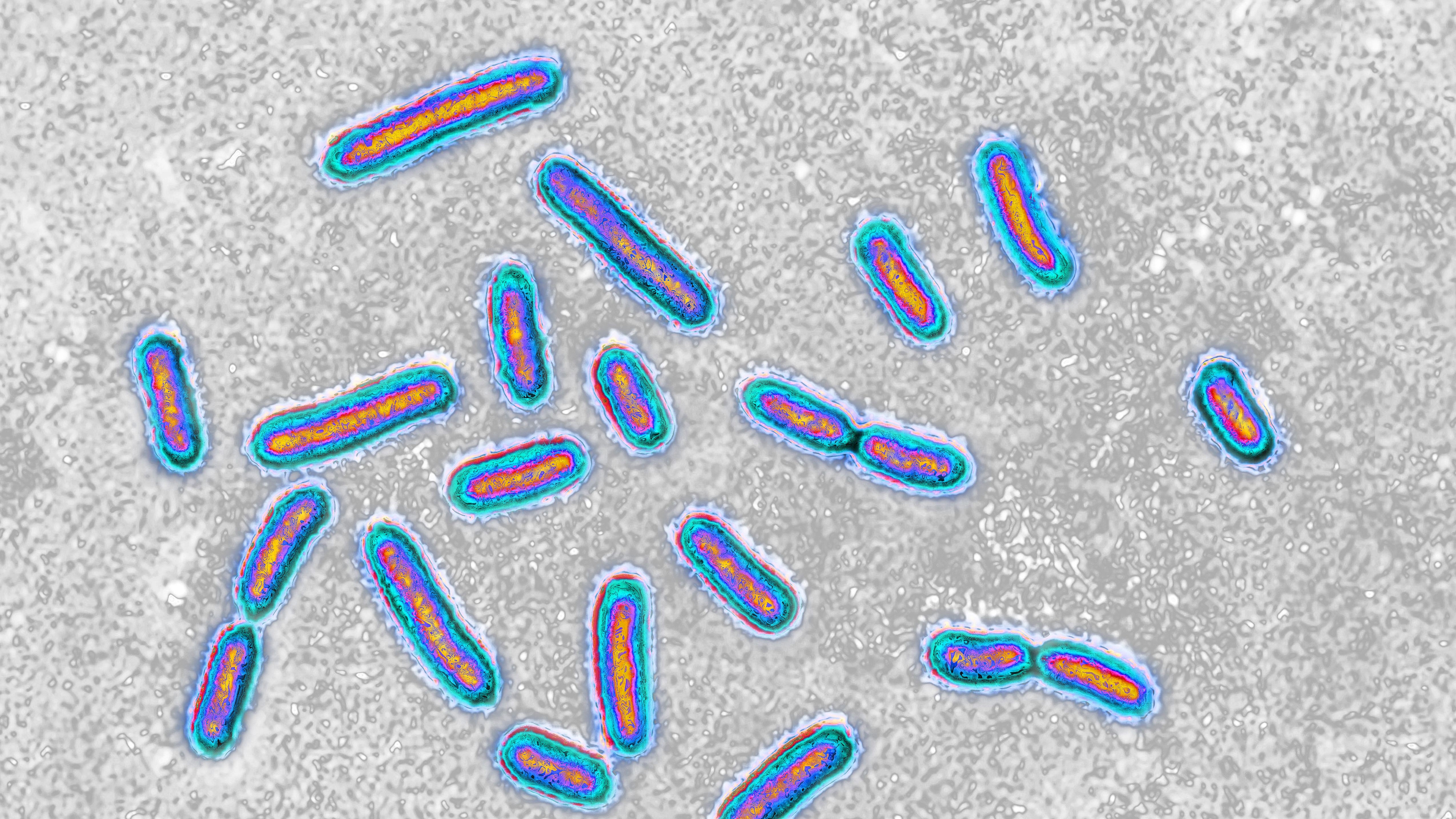 Live Science<\/title><\/g><\/g><\/g><\/svg>