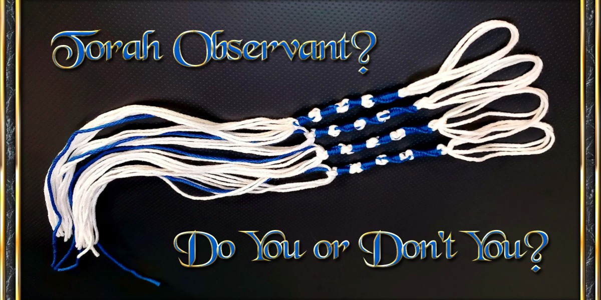 AND THEY SHALL MAKE FOR THEMSELVES TZITZITH