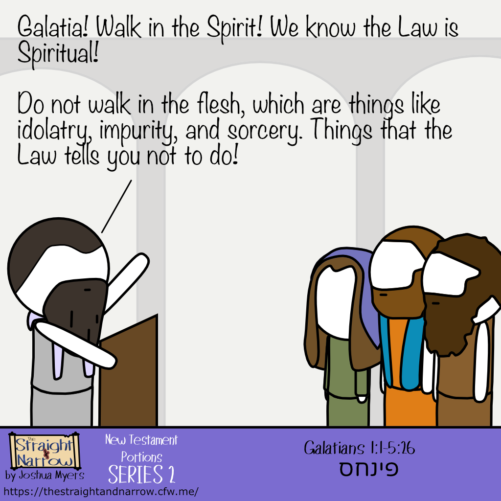 The Straight + Narrow - New Testament Portions Series 2: פינחס