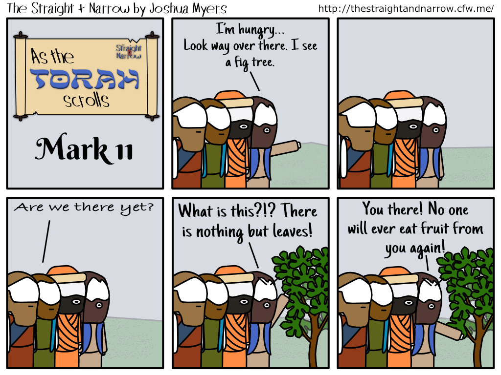 The Straight + Narrow - As The Torah Scrolls: Mark 11