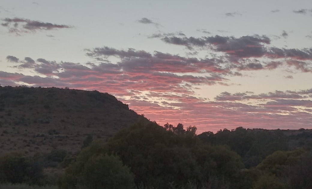 Newsletter - Born of God - August 2025