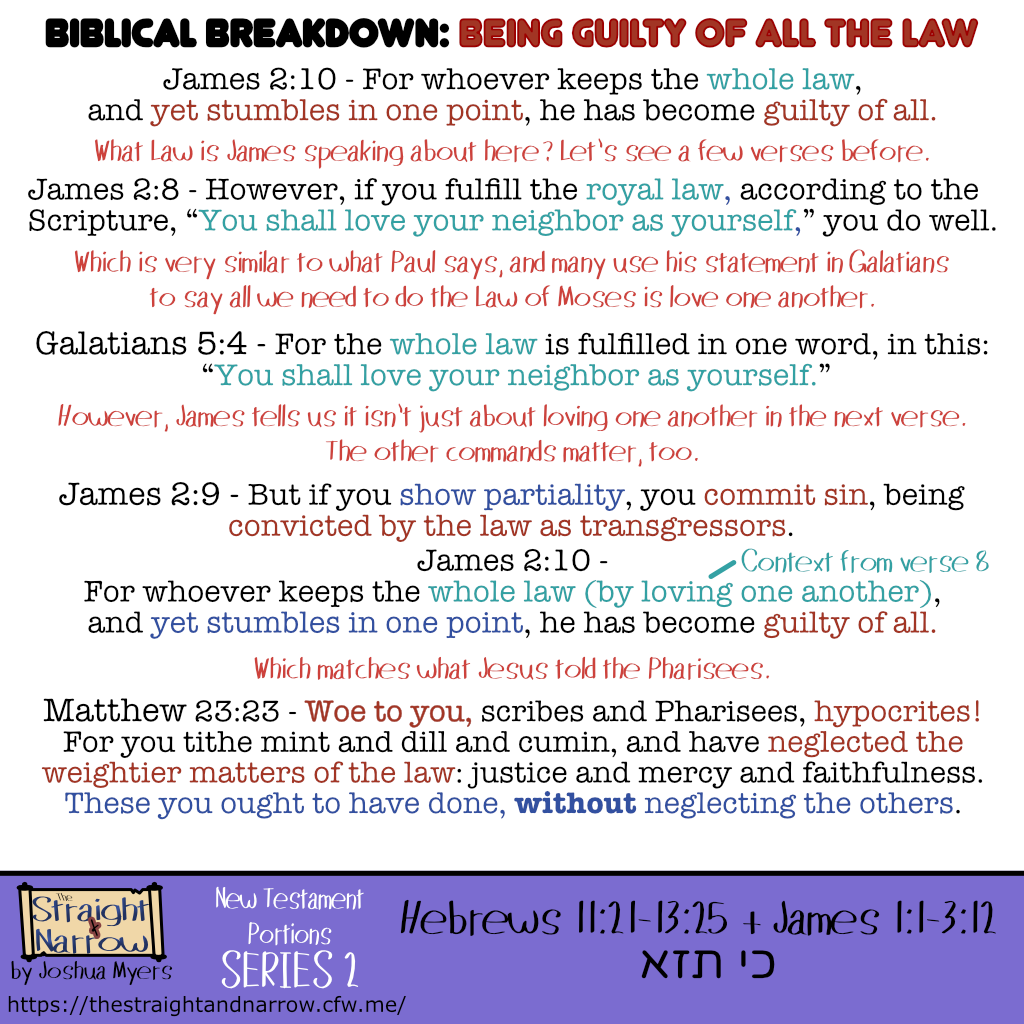 The Straight + Narrow - New Testament Portions Series 2: כי תזא (When you go forth)