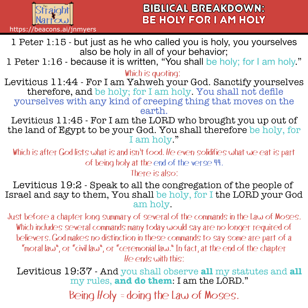 The Straight + Narrow - Biblical Breakdown : Be Holy For I Am Holy