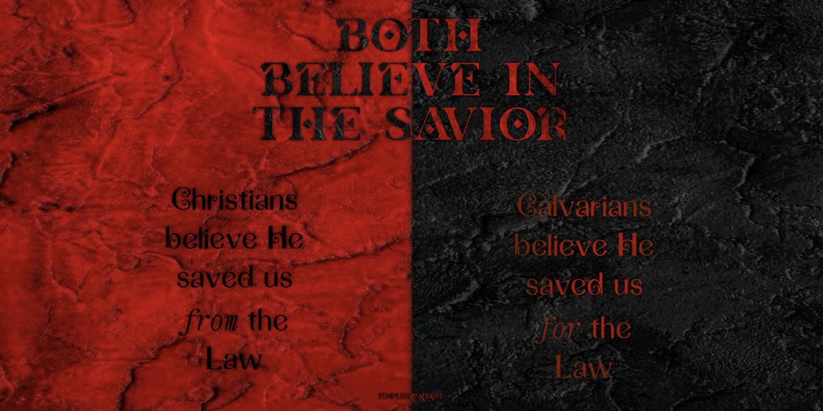 What Sort of Savior…?