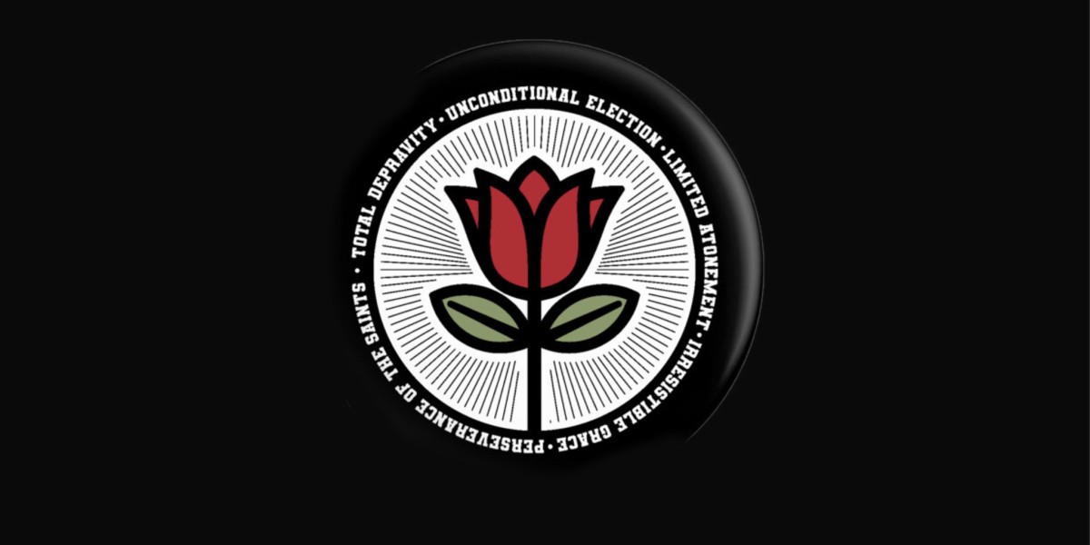 The Cancer of Calvinism (Not Calvarianism) Part 2: Was Calvin Qualified?